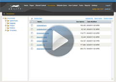 Digital Asset Management