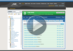 Search Engine Optimization (SEO)