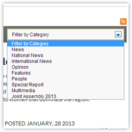 Category Filter
